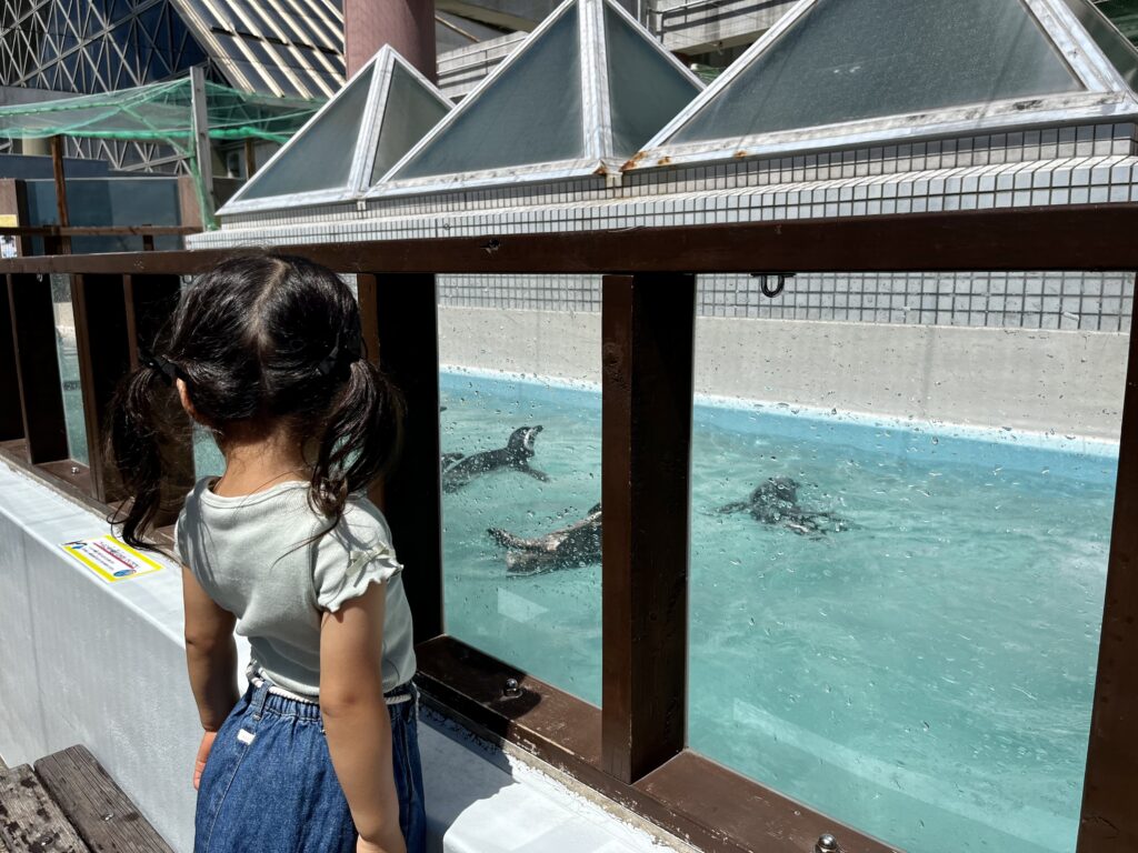 須磨海浜水族館　ペンギン
