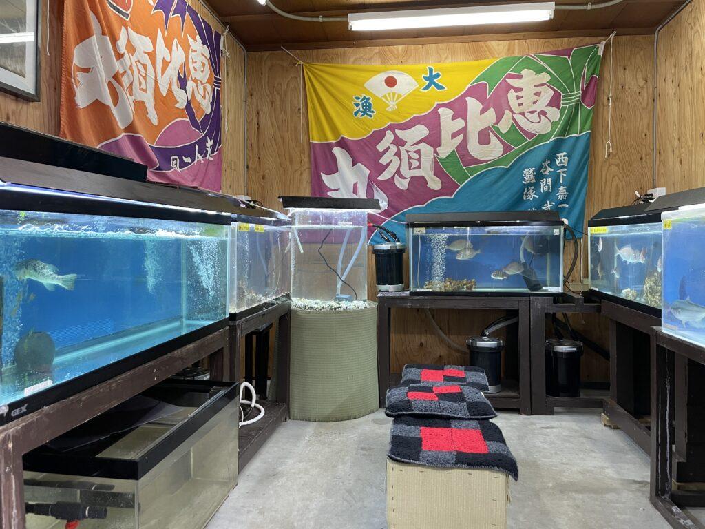 淡路島福良の無料水族館ギョギョタウン