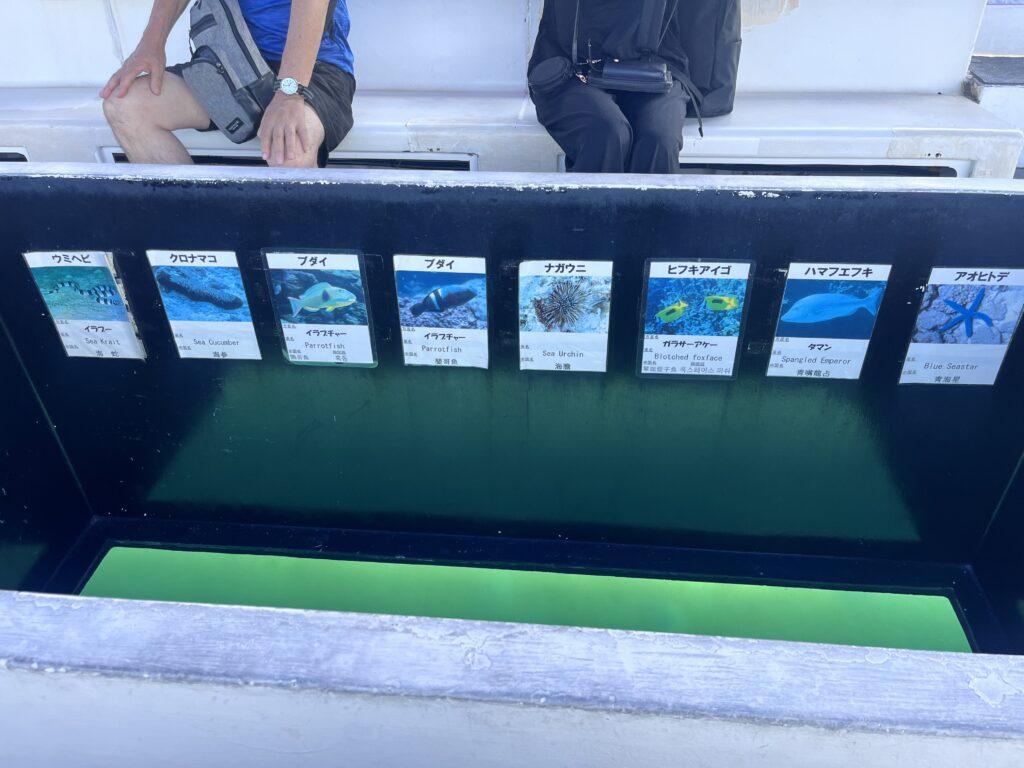 赤ちゃんからOK！かりゆしビーチのグラスボート