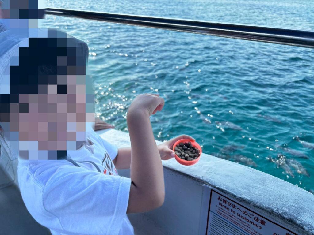 かりゆしビーチのグラスボートでエサやえり